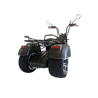 Çin fabrika Vintage elektrikli üç tekerlekli bisiklet Citycoco E Scooter üç tekerlekli motosiklet kıyıcı