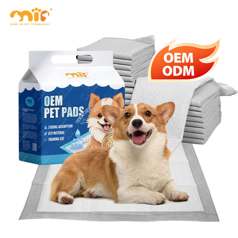 Los Perros Rascan Por Que Mi Perro Orina Su Cama Perro Duerme Mi