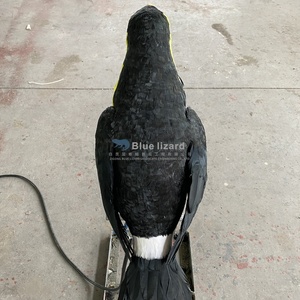 Sculpture d'oiseau <span class=keywords><strong>toucan</strong></span> animatronique réaliste, décoration de parc à thème tropical intérieur, statue de <span class=keywords><strong>toucan</strong></span> en mousse pour exposition intérieure - Product Image 5