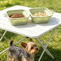 Bol à boire et à nourrir pour animaux de compagnie, pliable, imperméable, carré, portable, en silicone de qualité alimentaire, écologique et personnalisé pour chiens