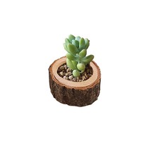 Pot de fleurs en bois naturel, style rustique, en forme de souche d'arbre, pour plantes succulentes, cactus, décoration de table, jardin, maison