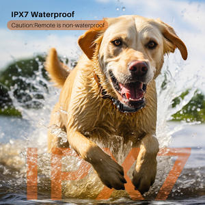 Nuevo Collar de Adiestramiento para Perros de 600 m, Recargable, Impermeable, con Control Remoto, Collar de Choque ABS+PC Modelo P-collar 642 para Perros - Product Image 6