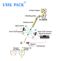 USSL PACK S1H68-GP Trieuse chromatique automatique à gorge unique pour céréales et fruits secs, avec reconnaissance visuelle IA, pour petites exploitations