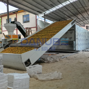 Ligne de production de séchage de prunes vertes entièrement automatique avec bande transporteuse en maille, machine de déshydratation de prunes vertes - Product Image 1