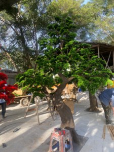 Sapin <span class=keywords><strong>artificiel</strong></span> réaliste et écologique de haute qualité de 2 m, fabriqué en Chine, avec une durée de vie de 10 ans, pour la décoration intérieure/extérieure des jardins - Product Image 2