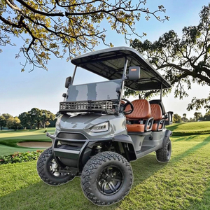 Carrito de Golf Gris de 6 Plazas, 48V 5KW, con Batería de Plomo-Ácido de Acero, en Venta - Product Image 1