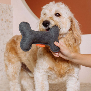 Og-juguetes interactivos <span class=keywords><strong>de</strong></span> limpieza dental para mascotas, personalizados y <span class=keywords><strong>de</strong></span> alta calidad - Product Image 1