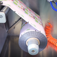 Hoge Kwaliteit DS-140S Doypack Machine Voor Het Vullen Van Zakjes Folie Folie Folie Folie Voor Voedingsproducten Gedroogde Vruchten Snoepjes Pepermuntjes Etikettering