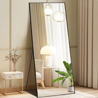 Miroir Acrylique Rectangulaire Pleine Longueur 64x21 Pouces avec Cadre en Aluminium, Non Éclairé, sur Pied, Design Art Déco, pour Chambre à Coucher, Coiffeuse et Maquillage