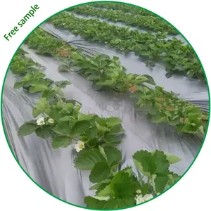 Agricultural Silver Black Mulch Cover Anti Weed Mulching Film Black Weed Control Membrane Mulch Layer For Vegetables