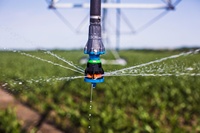 Système d'irrigation à pivot central en métal personnalisé Daringfish avec technologie IoT, équipé d'une pompe et d'un moteur à engrenages pour les grandes exploitations agricoles