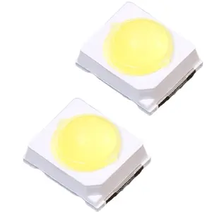 Puce LED SMD 3528 3020 5050 2835 5730 3030 Blanc 0.2W 0.5W 1W Lumière Lampe Perle Diode SMD LED puce