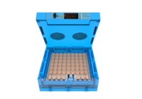 Incubateur automatique d'oeufs de 36 capacités pour l'utilisation de pigeon d'oie de canard de poulet de caille