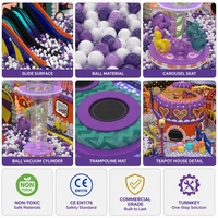 Équipement complet de terrain de jeux intérieur Thème Pays des Merveilles Fantaisistes Triple Toboggan Boule d'air Mushroom Carousel Maison Théière Tour
