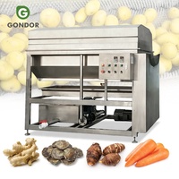 Fruit Aardbei Peper Blad Restaurant Eten Groente Schoon Wasmachine Cassave-wortelschiller met lifter