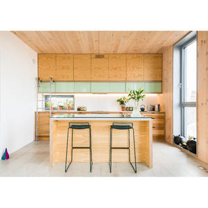 Contreplaqué de bouleau de Russie de première qualité certifié E0, filmé, pour plaque de <span class=keywords><strong>support</strong></span>, armoire, <span class=keywords><strong>bricolage</strong></span> et jouets - Product Image 5