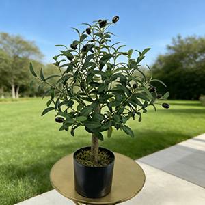 olivier - Product Image 5