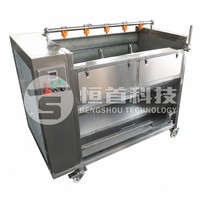 Industriële lijn voor het verwerken van uien, industriële groentesnijmachine, industriële fruitwasmachines, industriële groenteverwerkingslijn