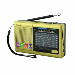 OEM Factory Portable FM AM SW Three Bands With BT 5.0 USB TF Function DC 5V