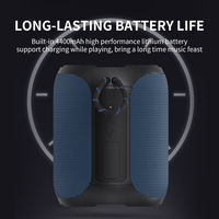 Altavoz Inalámbrico Portátil con Bluetooth 5.3, Estéreo, Emparejamiento TWS, Luces LED RGB, Radio, Ranura para Tarjeta TF, USB, para Teléfono Móvil y Computadora