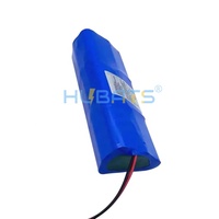 Batterie lithium-ion ICR18650-4S6P 14,8V 13,2Ah pour éclairage de scène Chauvet Wellflex 4S6P 18650 14,8V 13200mAh 14,8V