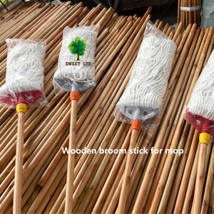 Manche de balai moderne américain le plus vendu, nouvelle arrivée, en bois, avec poils en nylon doux et pelle à poussière - Product Image 3