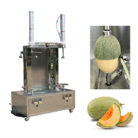Automatische radijs- en meloenpelschilmachine, pompoenschilmachine