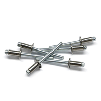 Rivets aveugles en acier inoxydable SUS à tête dôme ouverte ST-0084 ISO 9001 Finition argentée Spécifications personnalisables pour