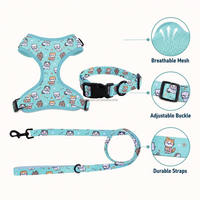 Ensemble Harnais et Laisse Réglables pour Chien avec Collier, Foulard, Nœud Papillon et Gilet de Sécurité – Idéal pour l'Entraînement et les Promenades en Extérieur pour Chiots et Chiens de Petite et Moyenne Taille en Polyester