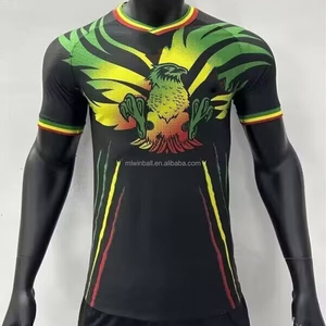 Camiseta de Fútbol de Ghana, Uniforme de Fútbol al por Mayor, Versión Jugador Local, Camiseta de Fútbol Ghana City - Product Image 3