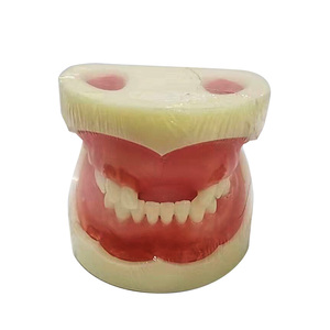 Modelo de práctica de dentista Tipo II Dureza Modelo de práctica de implante de enseñanza dental - Product Image 1