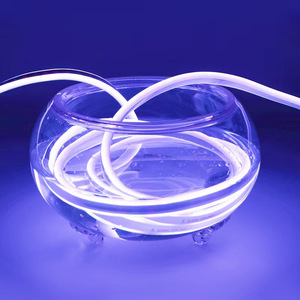 Bande lumineuse LED RGB flexible avec boîtier en PVC IP65, télécommande WS2812B pour la décoration paysagère - Product Image 1