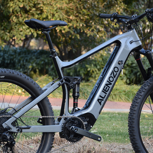 Batería de litio para bicicleta eléctrica, pila de carbono para vehículo de dos ruedas, con Motor de cubo de 43V 250W y batería de litio de 36V, modelo fibrid Mtb 29 - Product Image 2
