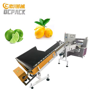 Tự động chảy qua hình cầu trái cây tươi chanh máy đóng gói cho cam citrus - Product Image 1