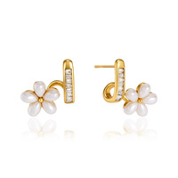 Boucles d'oreilles clous en résine et zircon doré avec perles et pierres lisses polies brillantes pour femme, bijoux de tous les jours, style cadeau