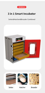 Usine-vente directe à grande échelle produisant la machine de plateau de carton <span class=keywords><strong>d</strong></span>'oeufs attestée de seconde main tout automatique - Product Image 2