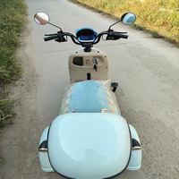 Quadricycle électrique 3 places à 3 roues, 800W, autonomie 55km, voiturette de golf ouverte pour le tourisme et les sorties familiales – Vente chaude directe usine
