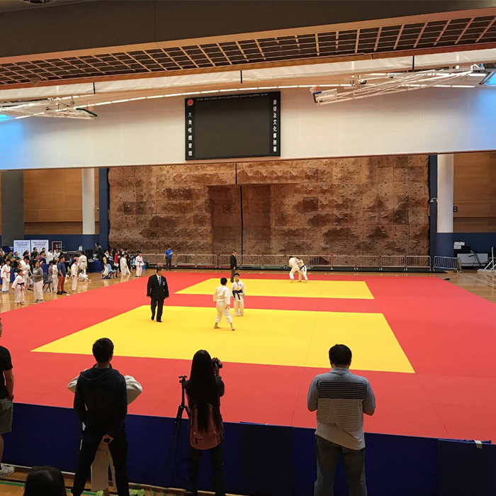 Indoor Multi Sport Flooring PVC Eco