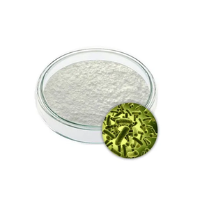 Poudre de Bifidobacterium Longum, poudre de culture bactérienne probiotique pour la fabrication d'ingrédients nutritionnels et de compléments alimentaires - Product Image 1