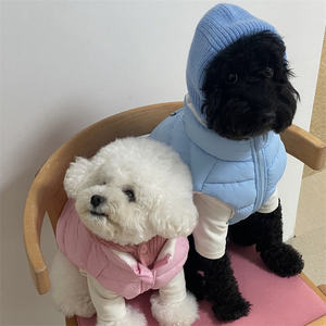 Groothandel Koreaanse Ins Huisdier Warme Trui Gebreide Muts Herfst Winter Schattige Gebreide Kat Kleine Hond Gehaakte Handgebreide Hondenhoed - Product Image 4