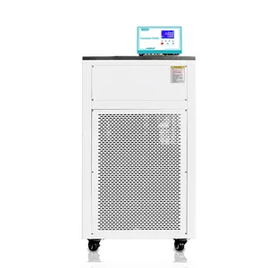 Circulador efrigerado y de calefacción para baño de agua, con pantalla de temperatura para laboratorio, 40 ~ 100C