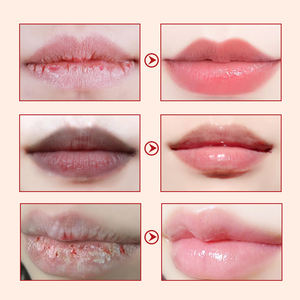 थोक इको फ्रेंडली शाकाहारी होंठ मॉइस्चराइज़र बाम बॉल विटामिन कार्बनिक निजी लेबल मरम्मत होंठ बाम - Product Image 4