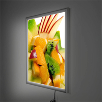 Cadre lumineux LED en aluminium A0-A4, à clipser, suspendu, durable, facile à utiliser, boîte lumineuse décorative d'intérieur