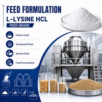 Complément alimentaire de qualité alimentaire pour augmenter la teneur en protéines, CAS 60343-69-3, L-Lysine de qualité alimentaire en gros, pureté 99%