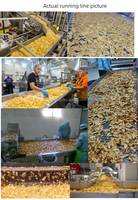 Solution clé en main automatique et semi-automatique pour la fabrication de chips de banane, de plantain et de pomme de terre en acier inoxydable