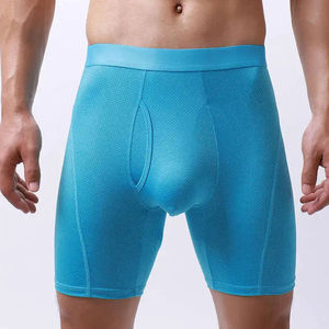 Logo personnalisé 95% nylon 5% spandex Caleçon long culotte hommes sous-vêtements Sport séchage rapide hommes Boxer slips - Product Image 4