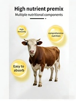 Lanchen RumiLys, Premezcla de Vitaminas y Oligoelementos para Rumiantes, Aditivo para Alimentos en Polvo, Minerales que Promueven el Crecimiento Saludable y la Nutrición