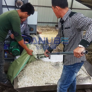 Máquina secadora continua de semillas de girasol 50T por día Secador de correa de malla de semillas de sandía - Product Image 5