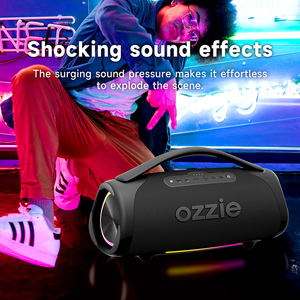 OZZIE Enceinte de diffusion portable avec subwoofer intégré 160W, adaptateur secteur, AUX, USB, étanche IPX7, son stéréo Hi-Fi puissant et basses profondes - Product Image 6