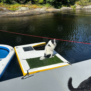 2025 nuevo diseño inflable Island Dog Beach & Ramp DWF inflable perro bote escalera <span class=keywords><strong>piscina</strong></span> cachorro rampa para perros pequeños y grandes - Product Image 4